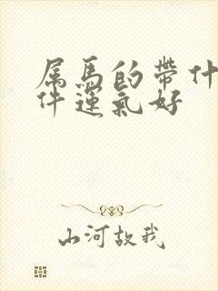 属马的带什么挂件运气好