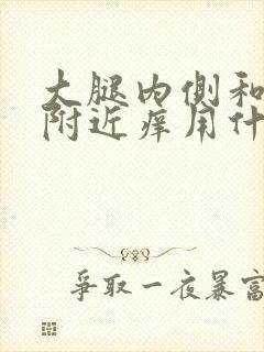 大腿内侧和睾丸附近痒用什么药物