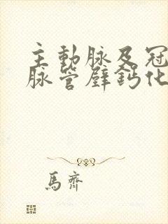 主动脉及冠状动脉管壁钙化斑形成