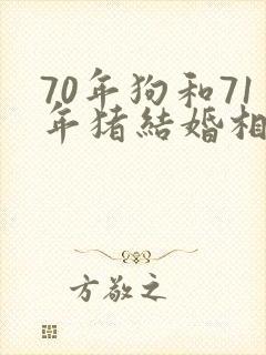 70年狗和71年猪结婚相配吗