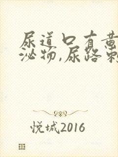 尿道口有黄色分泌物,尿路刺痛