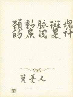 颈动脉斑块形成的原因是什么