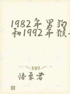 1982年男狗和1992年猴女相配吗