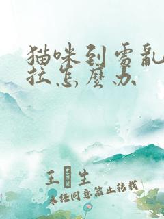 猫咪到处乱尿乱拉怎么办