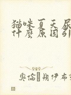 猫咪夏天尿少是什么原因引起的