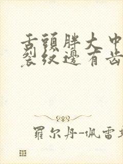 舌头胖大中间有裂纹边有齿痕