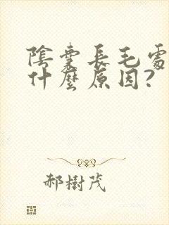 阴囊长毛处痒是什么原因?