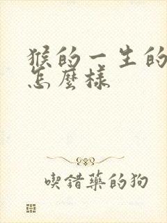 猴的一生的命运怎么样