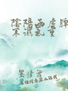 阴阳两虚脾胃虚寒湿气重