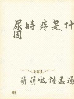 尿时疼是什么原因