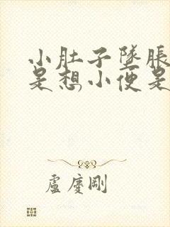 小肚子坠胀感老是想小便是怎么回事