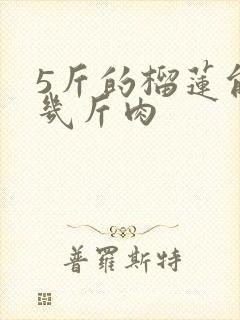 5斤的榴莲能出几斤肉