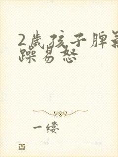 2岁孩子脾气暴躁易怒