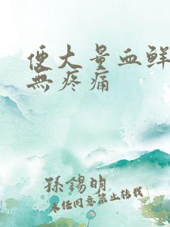 便大量血鲜红色无疼痛