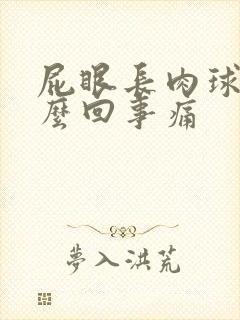 屁眼长肉球是怎么回事痛