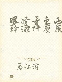 眼睛看东西模糊干涩什么原因