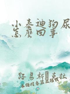 小泰迪狗尿血是怎么回事