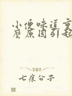 小便味道重是什么原因引起的