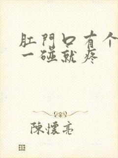 肛门口有个肉球一碰就疼