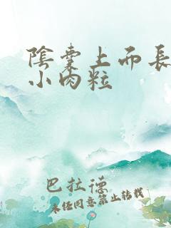 阴囊上面长一些小肉粒