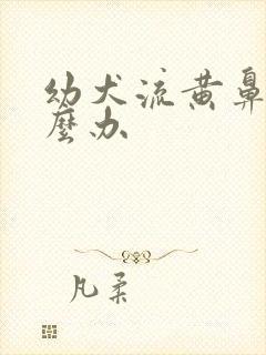 幼犬流黄鼻涕怎么办