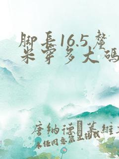 脚长16.5厘米穿多大码鞋