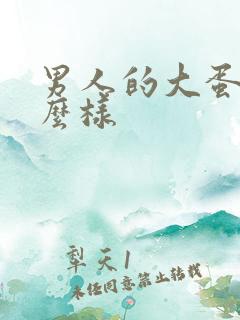 男人的大蛋蛋什么样