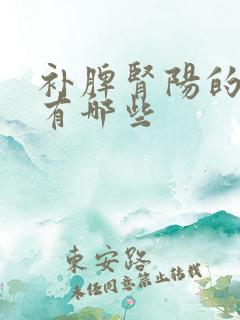 补脾肾阳的中药有哪些