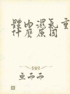 体内湿气重口苦什么原因