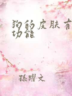 狗的皮肤有什么功能