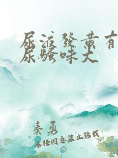 尿液发黄有泡沫尿骚味大