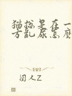 猫总是在一个地方乱尿怎么办