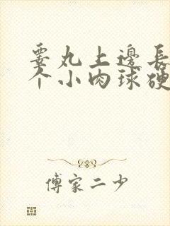 睾丸上边长了一个小肉球硬硬的