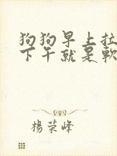 狗狗早上拉的好下午就是软便