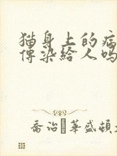 猫身上的病菌会传染给人吗