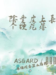 阴囊皮上长了一个硬疙瘩