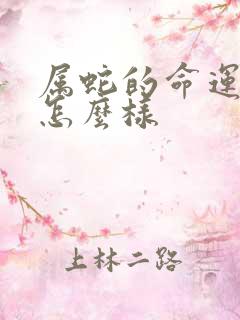 属蛇的命运一生怎么样