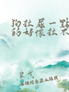 狗拉尿一点一点的好像拉不出来