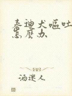 泰迪犬呕吐拉稀怎么办