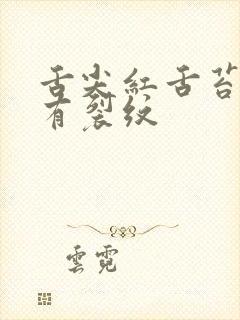 舌尖红舌苔黄腻有裂纹