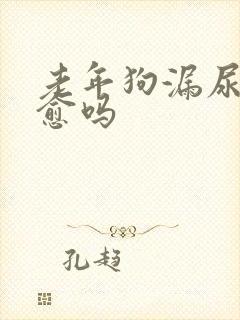 老年狗漏尿会自愈吗