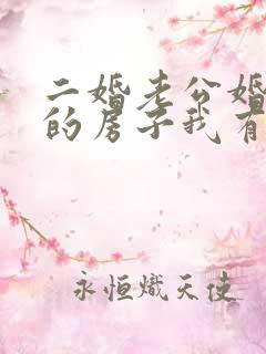 二婚老公婚前买的房子我有继承权吗