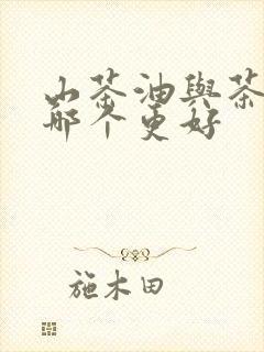 山茶油与茶籽油哪个更好