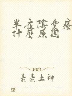 半夜阴囊瘙痒是什么原因