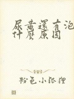 尿黄还有泡沫是什么原因