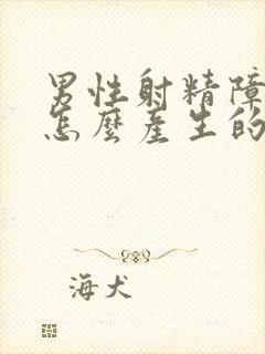 男性射精障碍是怎么产生的