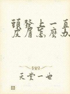 头发上一直有头皮屑怎么办