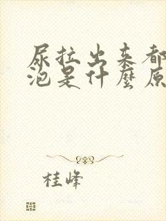 尿拉出来都是泡泡是什么原因