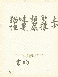 猫咪频繁上猫厕但是尿很少还乱尿