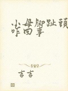 小母脚趾头疼是咋回事